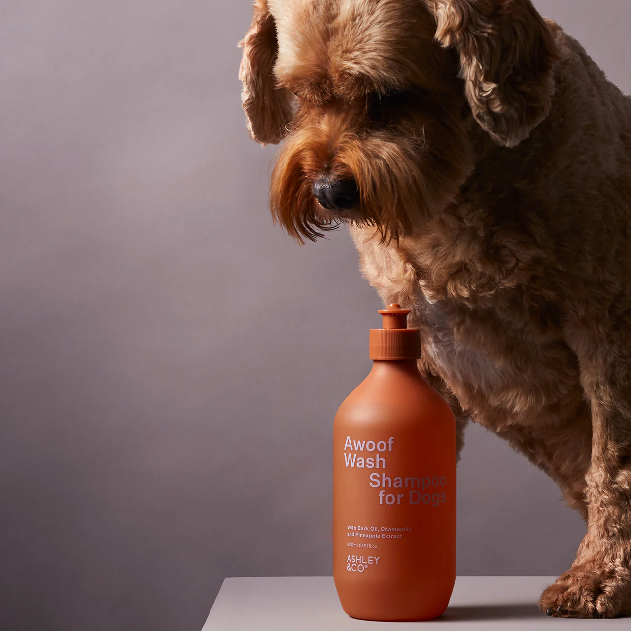 Awoof Wash Dog Shampoo - Image 5