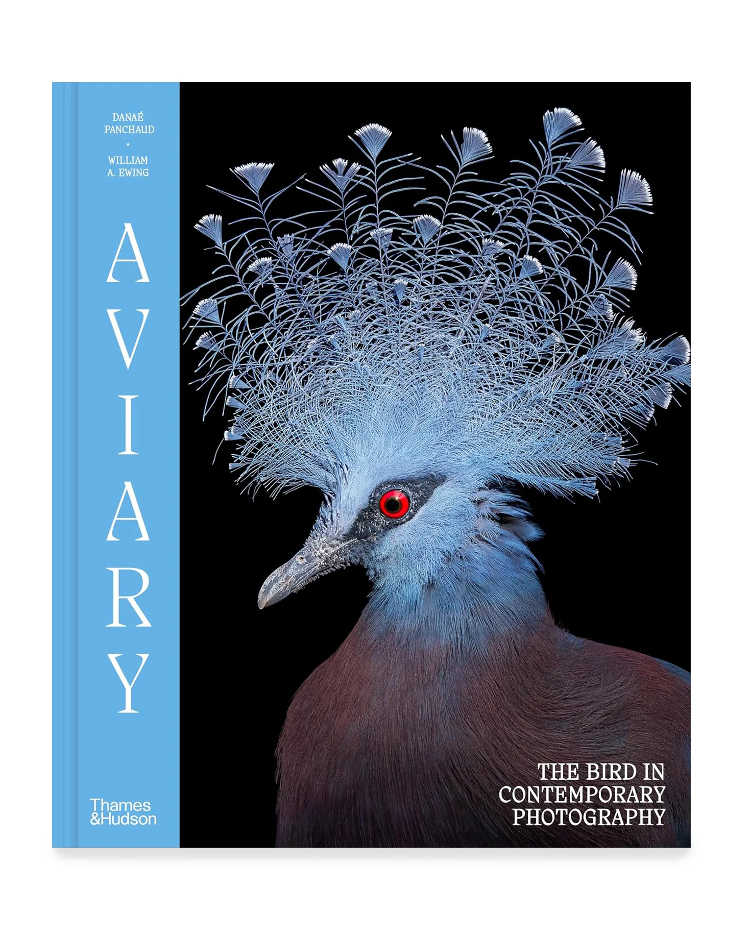 Aviary