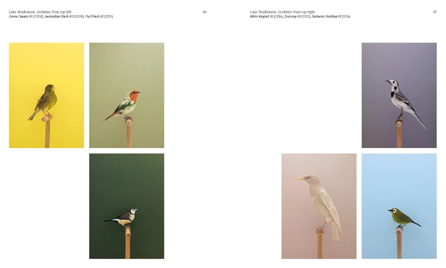 Aviary - Image 5