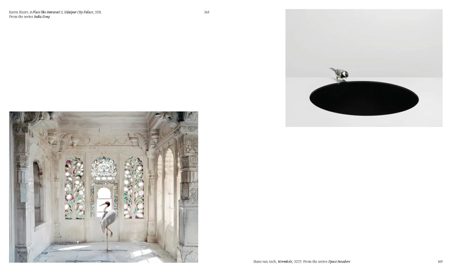 Aviary - Image 7