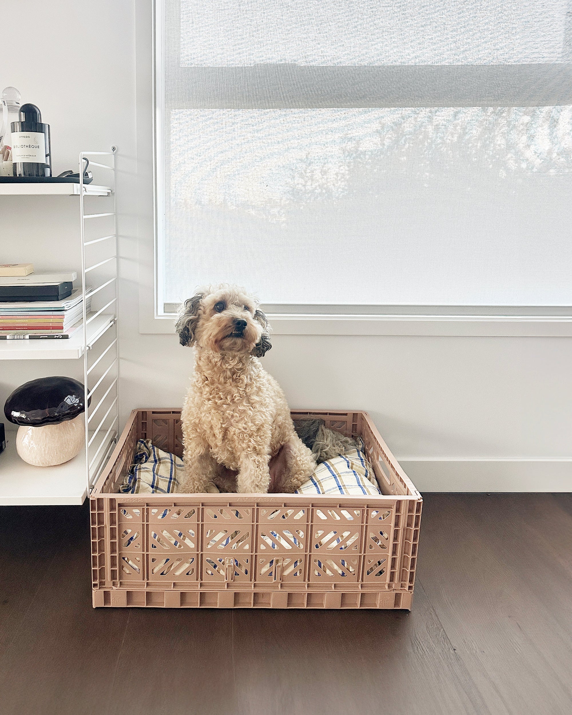 Folding Crates - Warm Taupe - Image 3