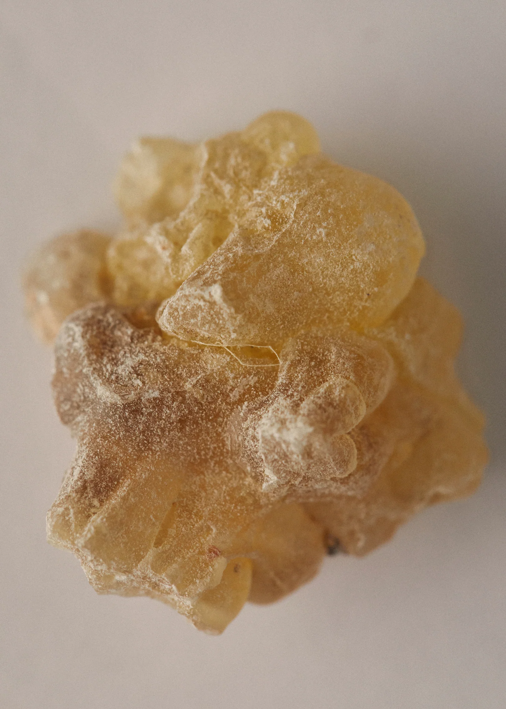 Natural Perfume Oil - White Oudh - Image 5