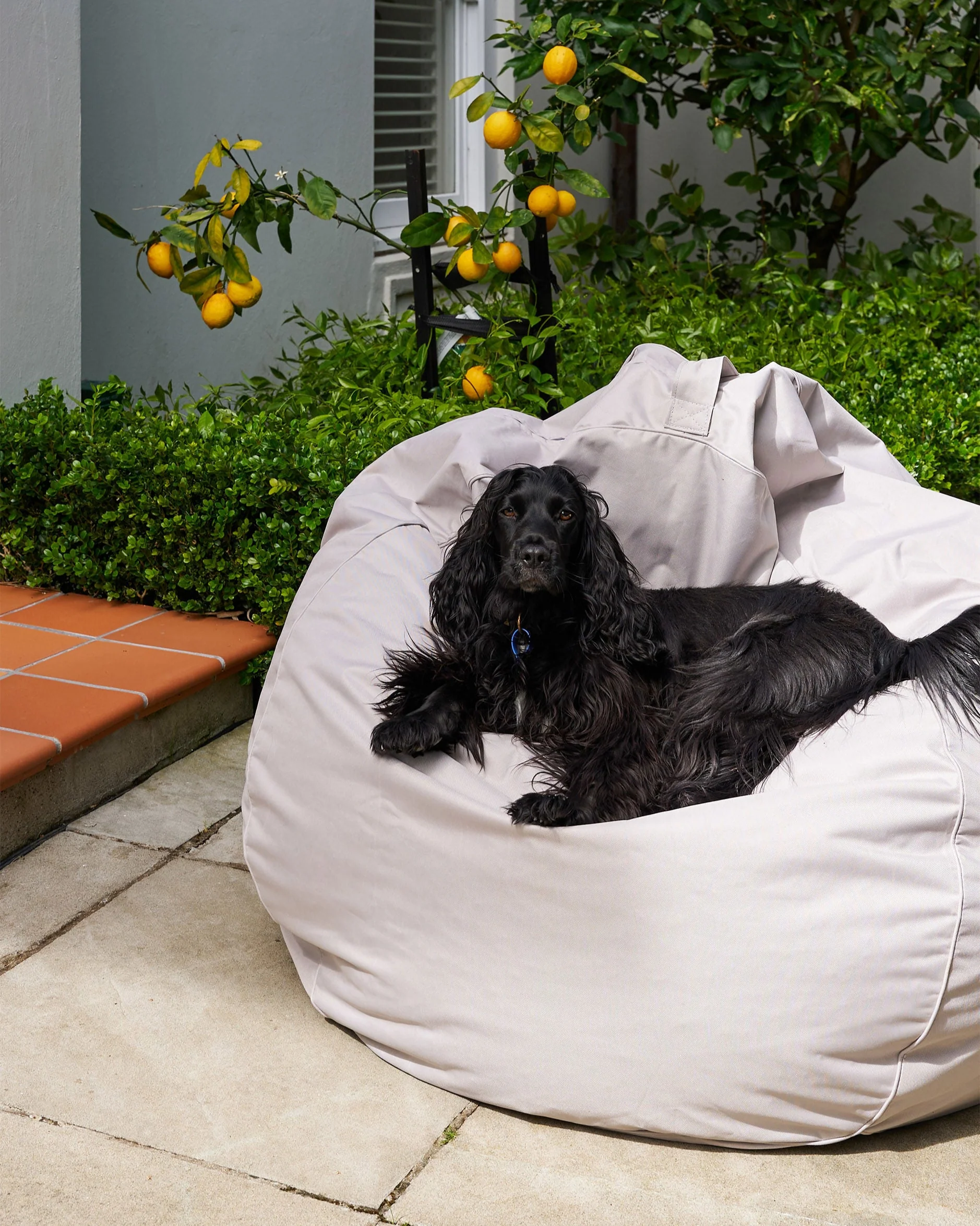 Bean Bag Cover - Grey - Image 2