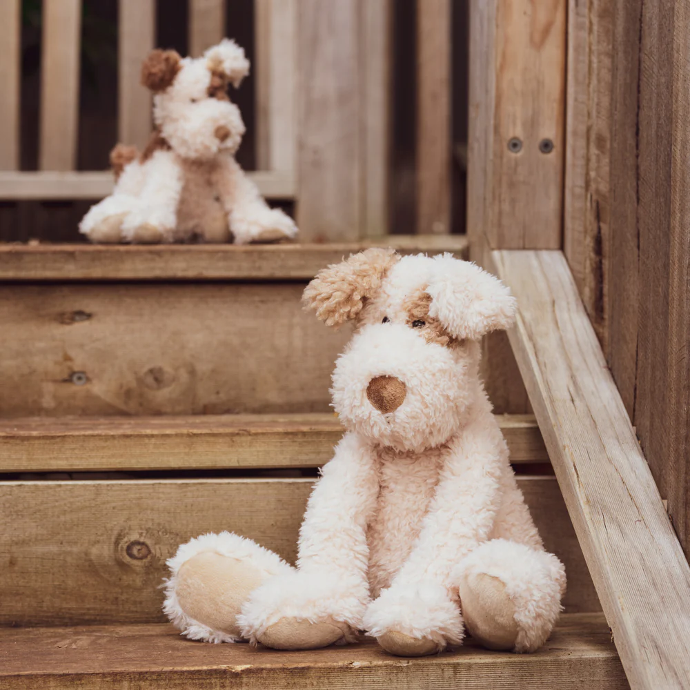 Buddy the Dog - Image 3