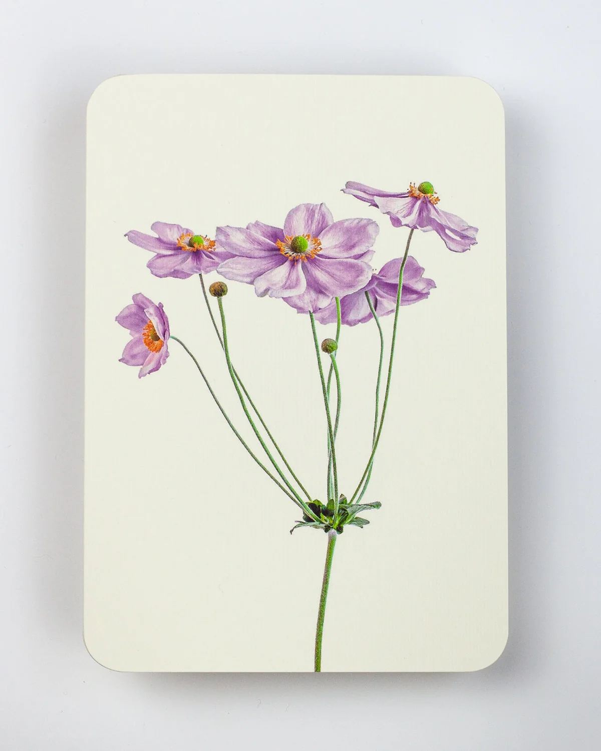 Card - Anemone Flower