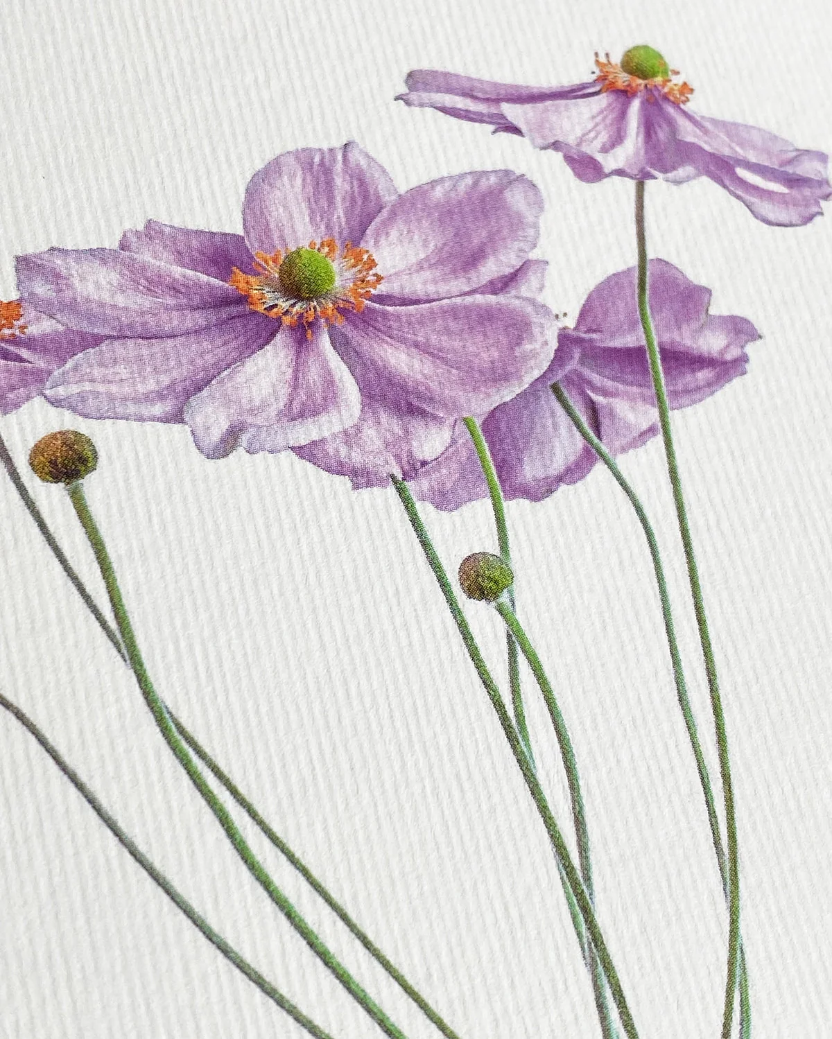 Card - Anemone Flower - Image 3