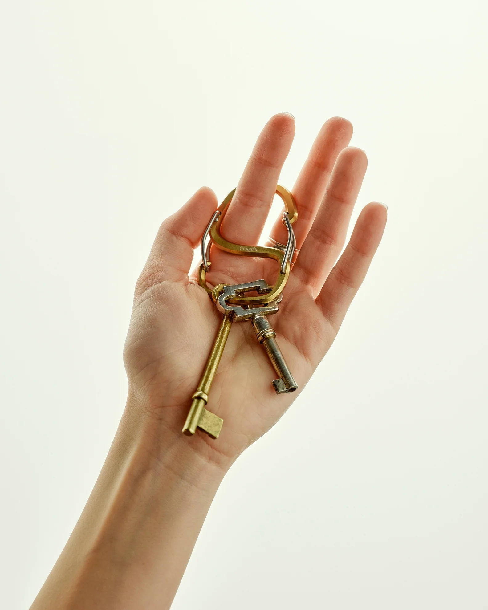 Coachwhip Carabiner - Image 2