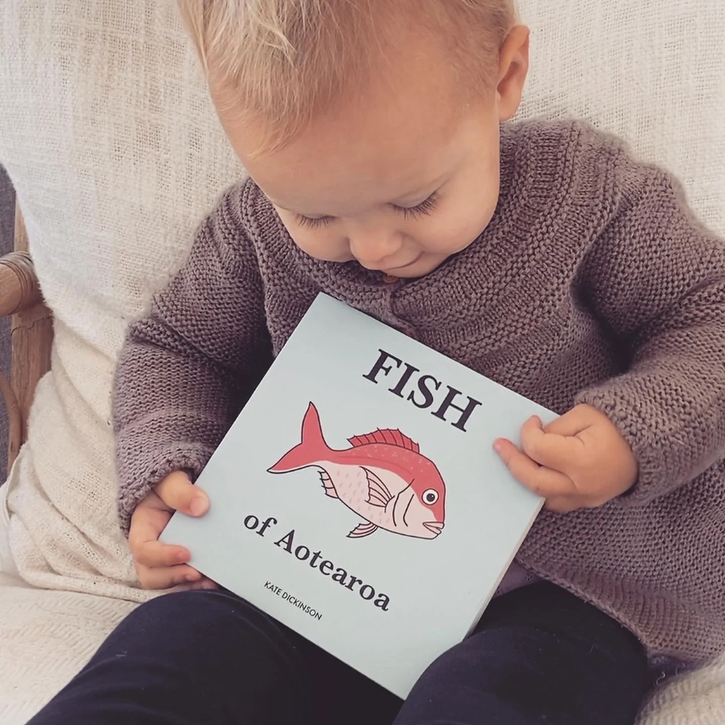 Fish of Aotearoa - Image 2