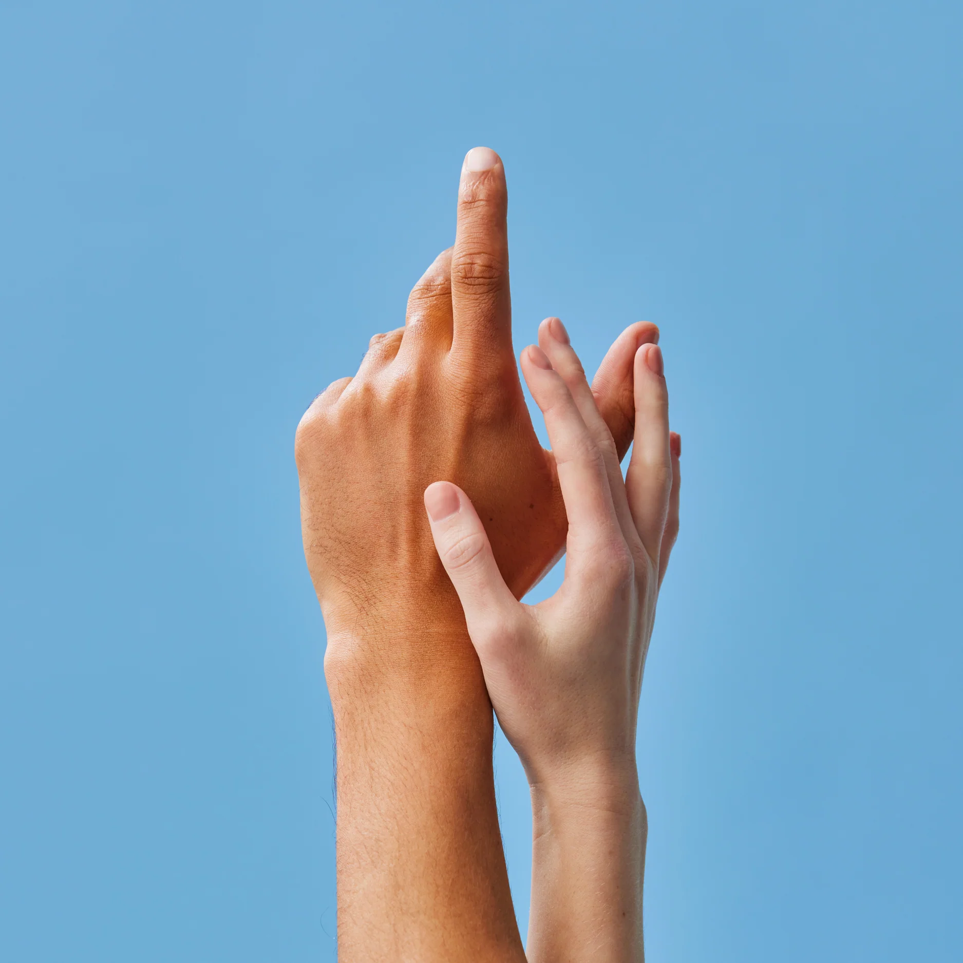 Hand Protector - Image 3