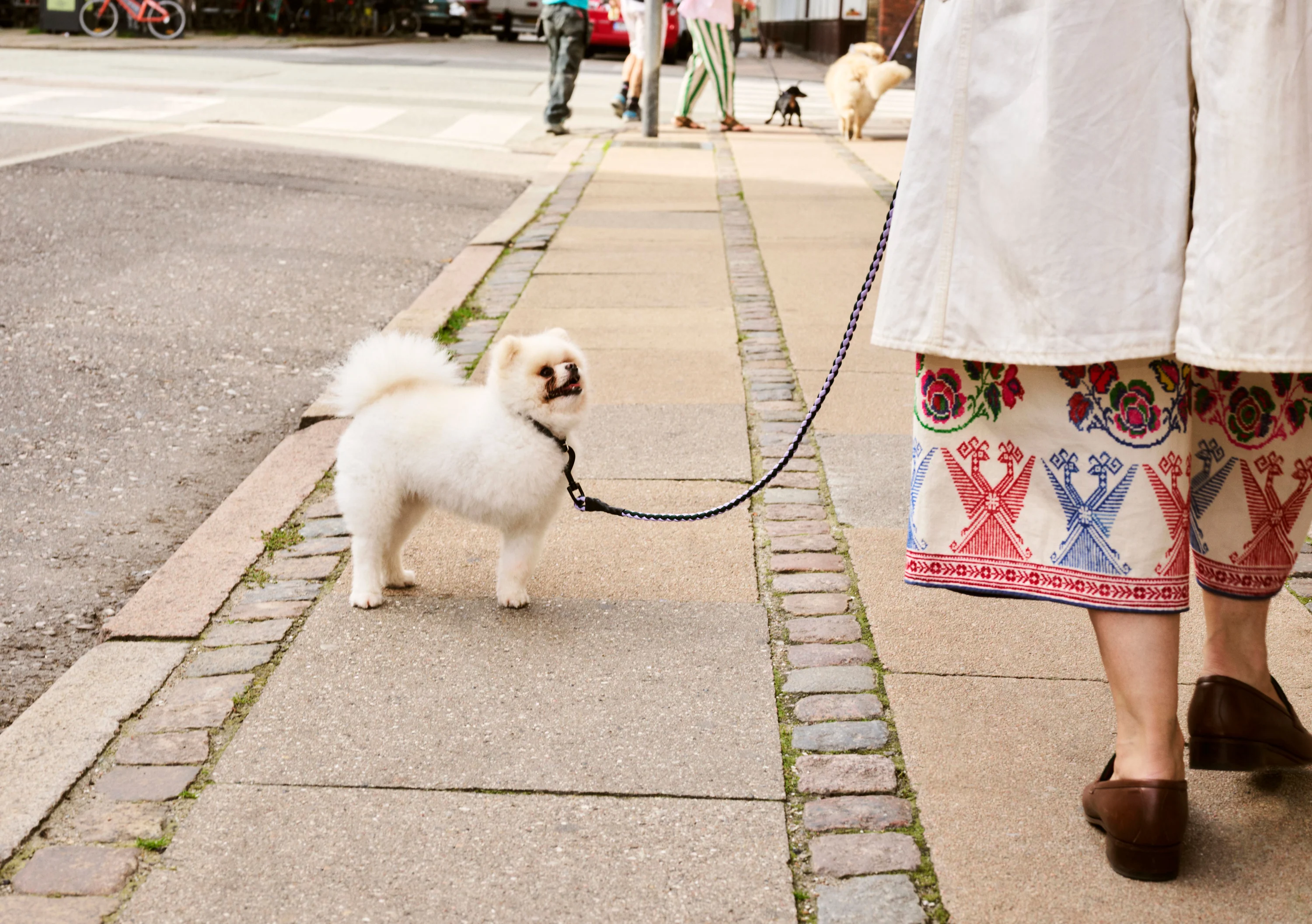 Braided Dog Leash - Lavender & Green - Image 3