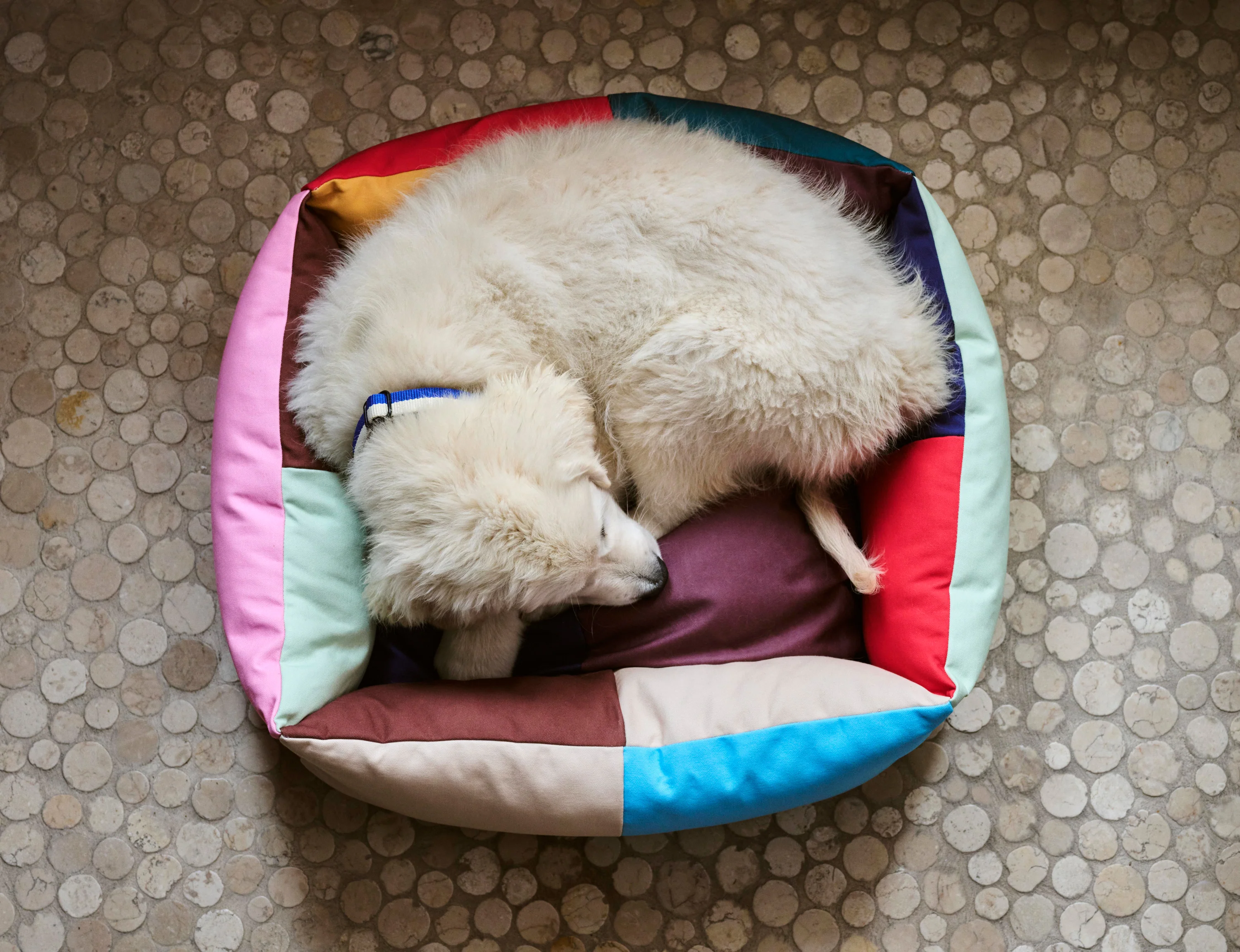 Medium Patchwork Dog Bed - Image 3