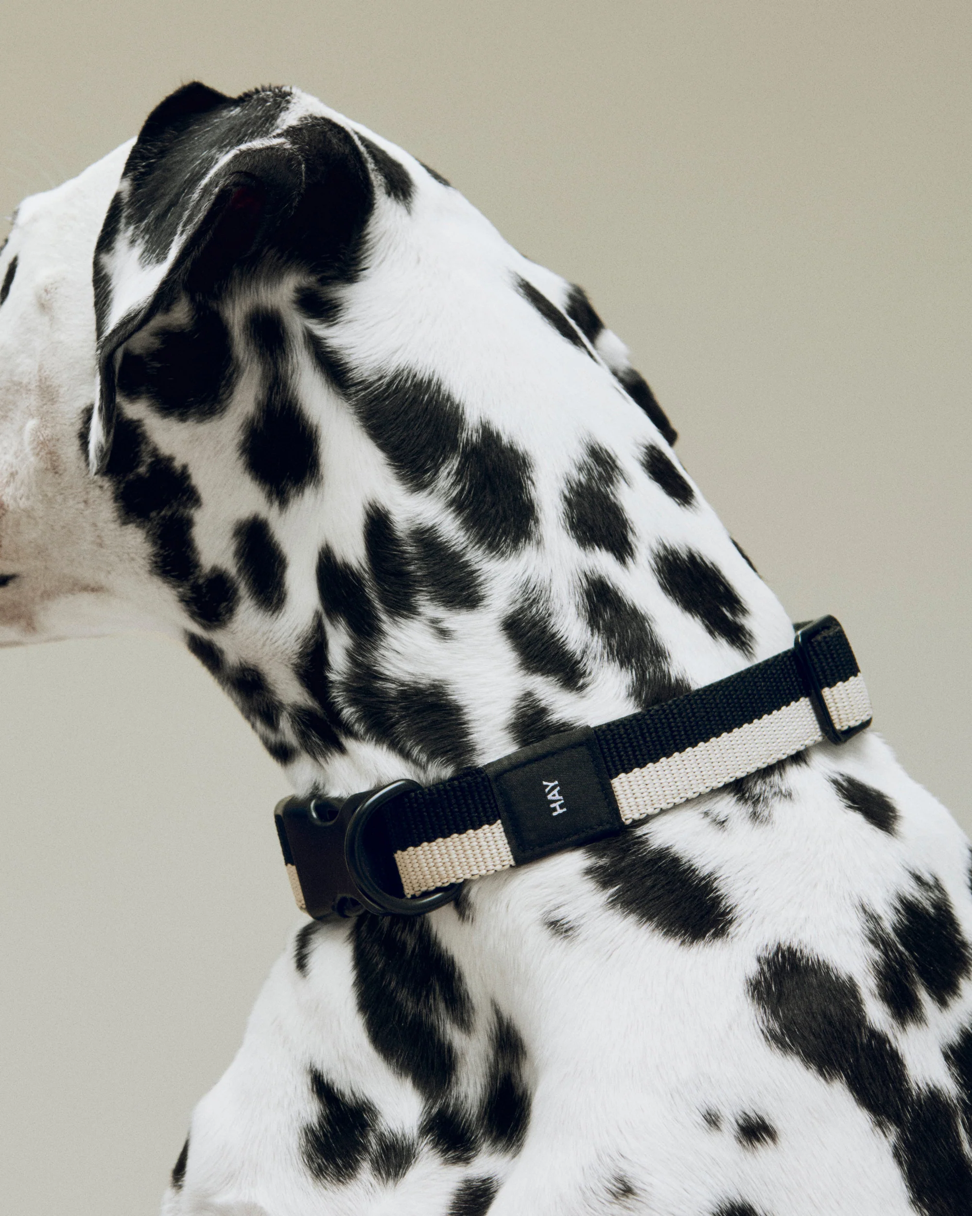 Two Tone Dog Collar - Black & White - Image 2