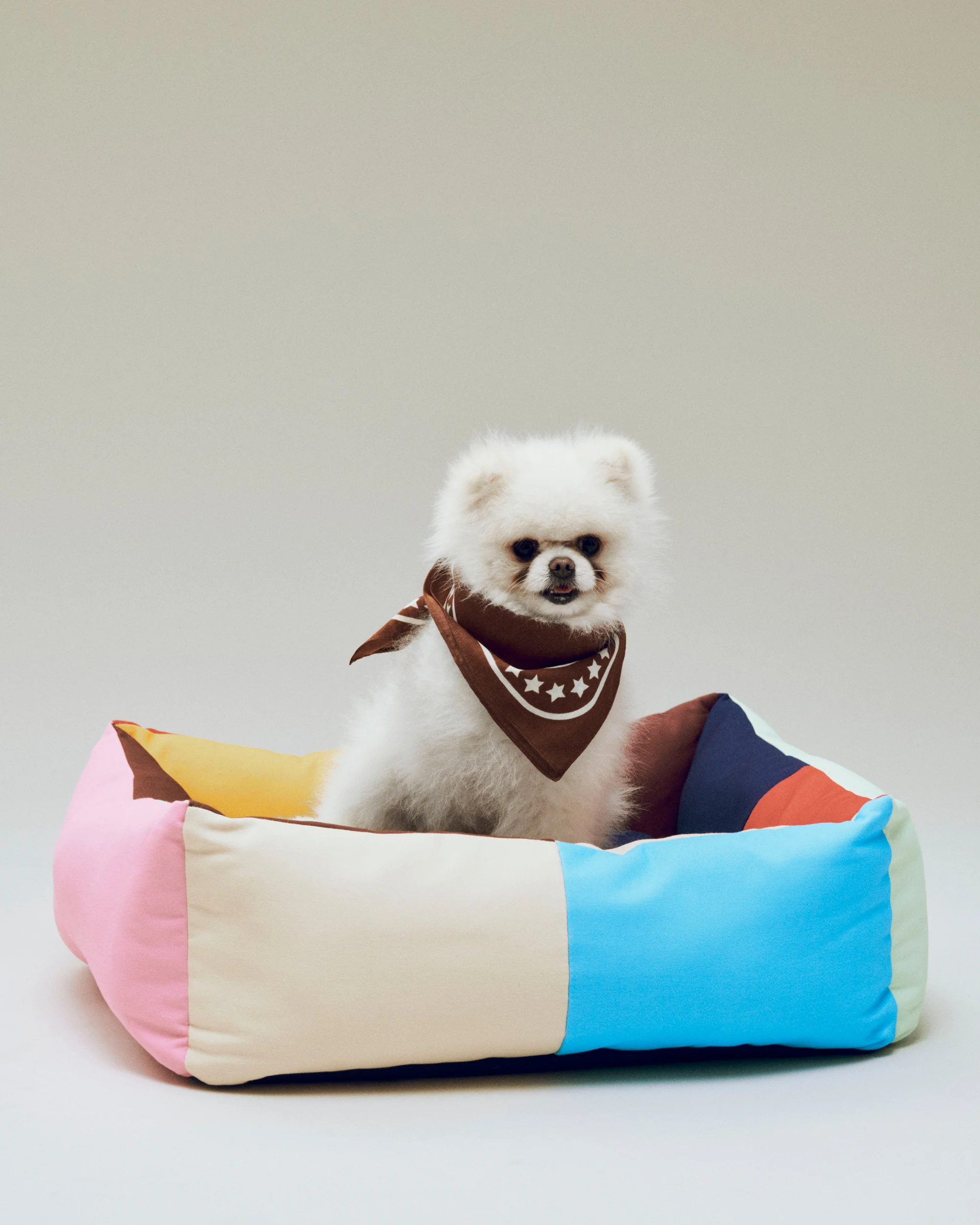 Dog Scarf - Brown - Image 3