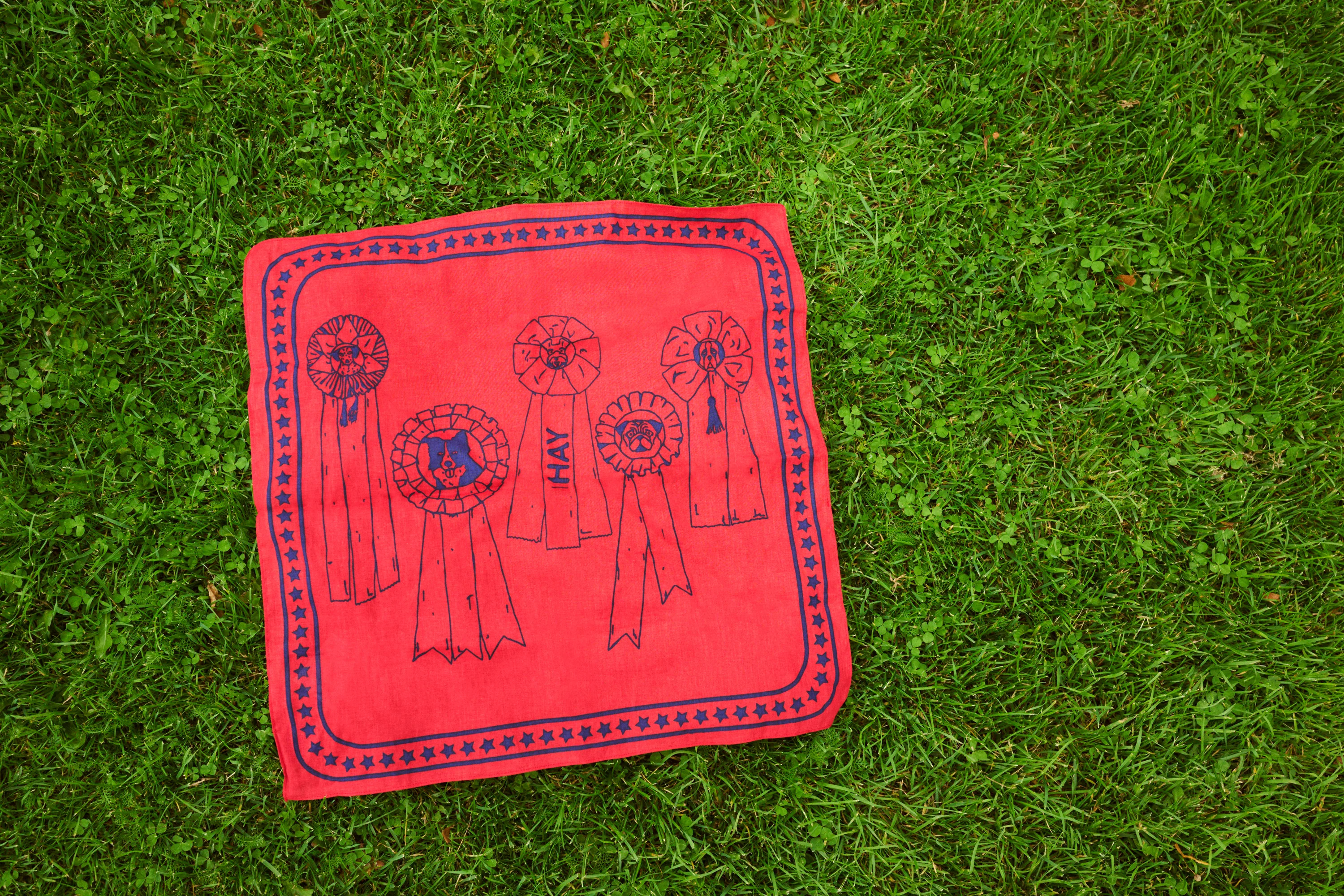 Dog Scarf - Red - Image 4