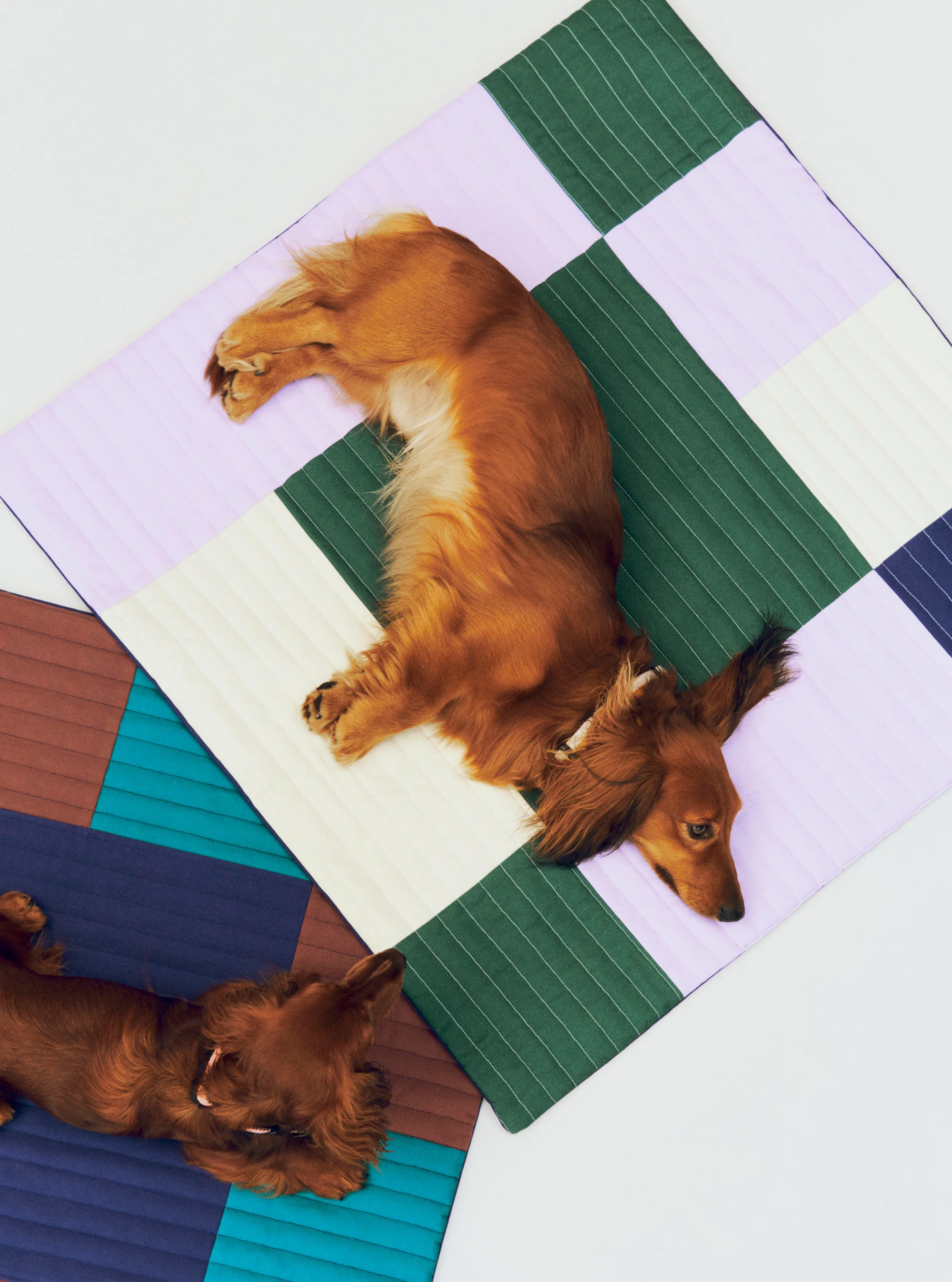 Patchwork Dog Travel Blanket - Lavender & Green - Image 2