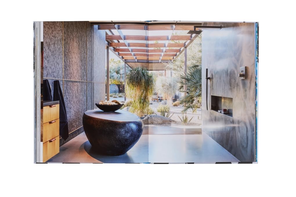 Inside Palm Springs - Image 5