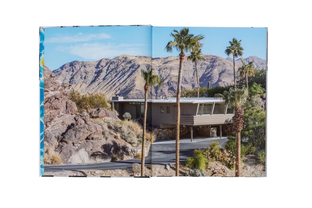 Inside Palm Springs - Image 6