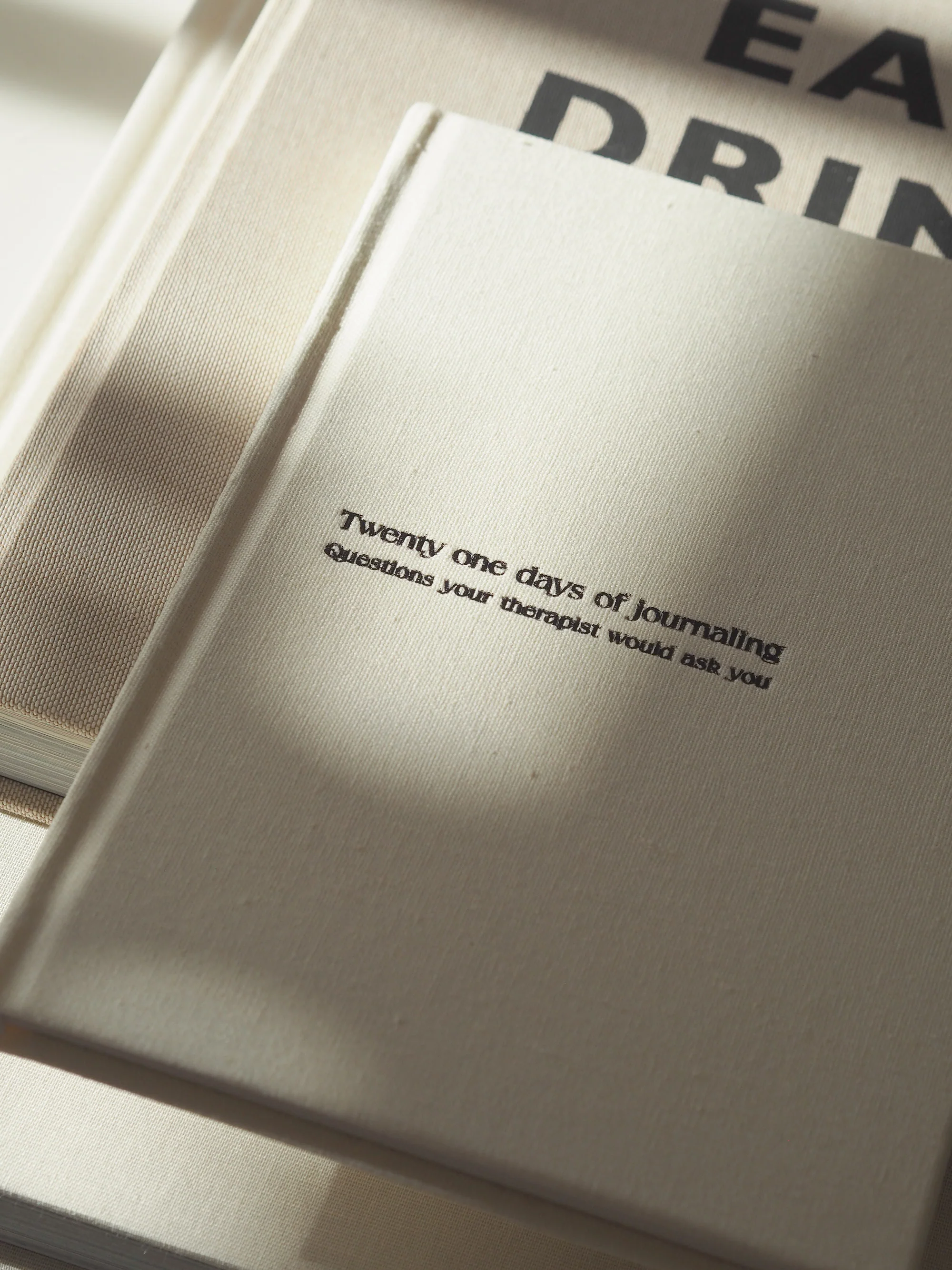 Therapy Journal - Image 4