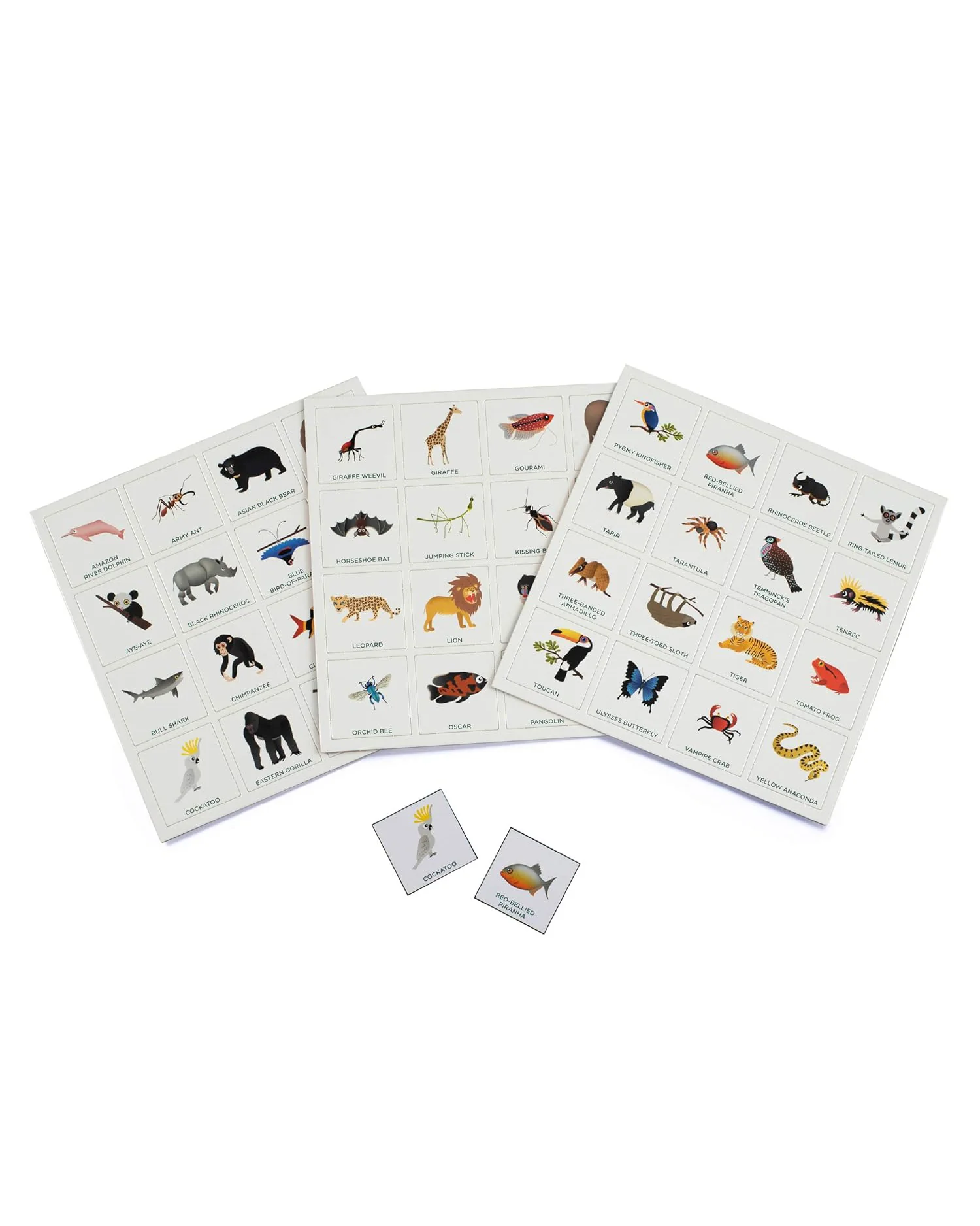 Jungle Bingo - Image 2