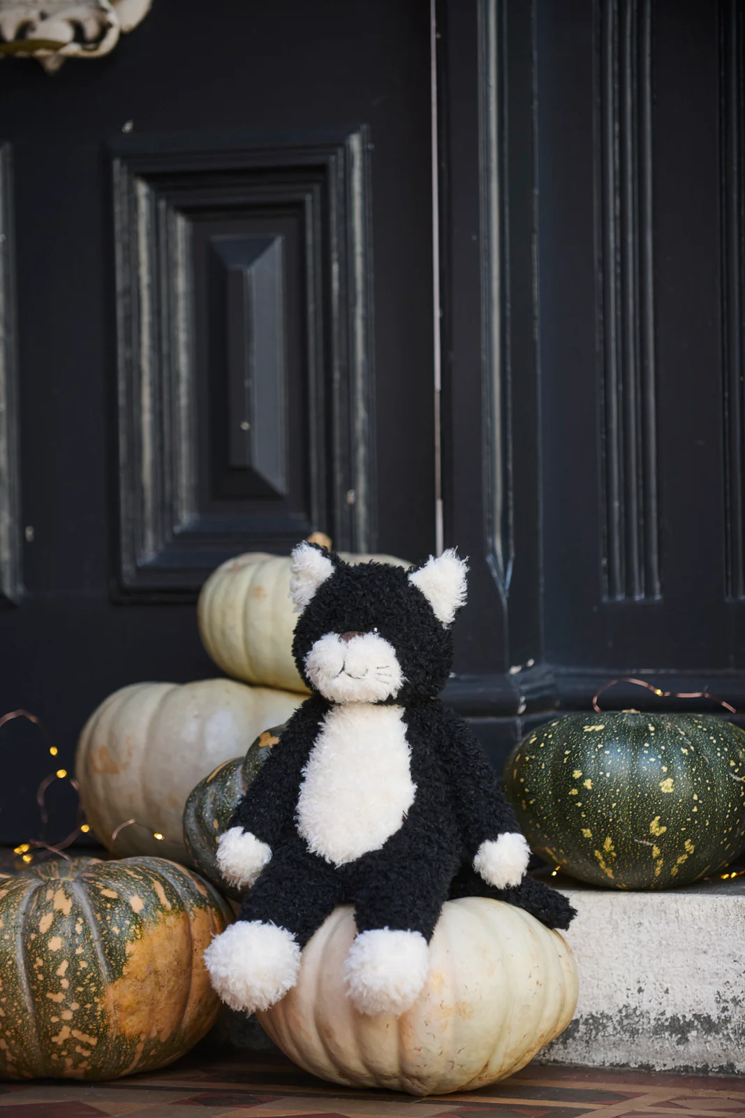 Checkers the Cat - Image 3