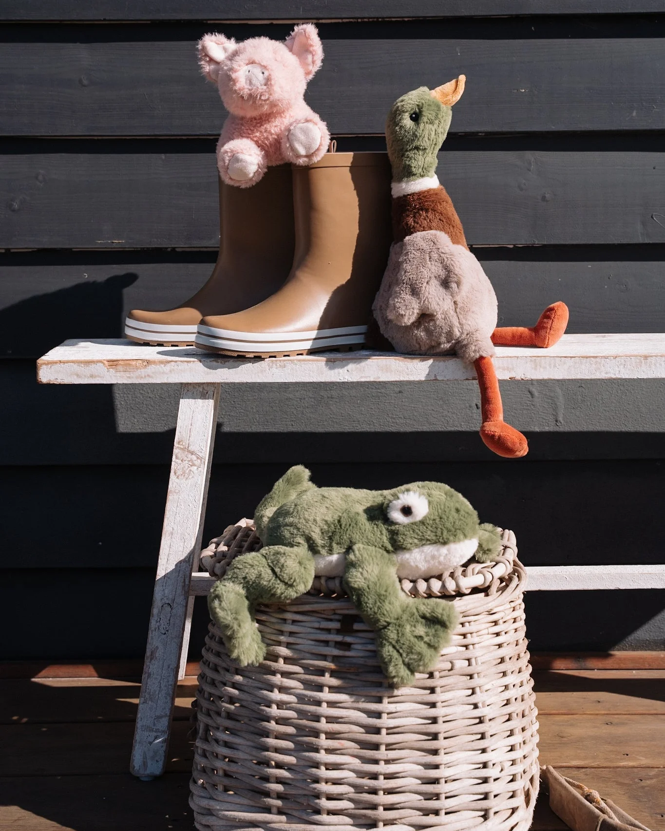 Finley the Frog - Image 2