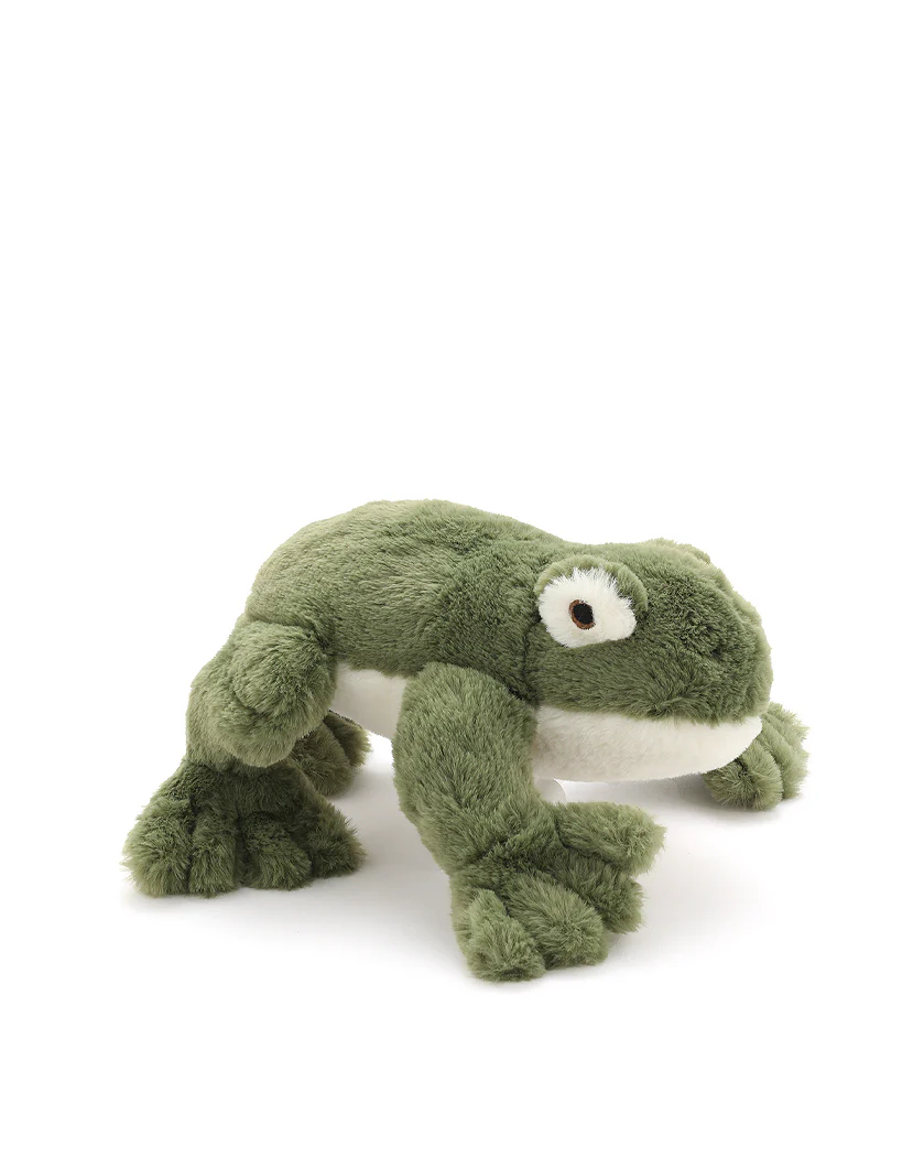 Finley the Frog - Image 3