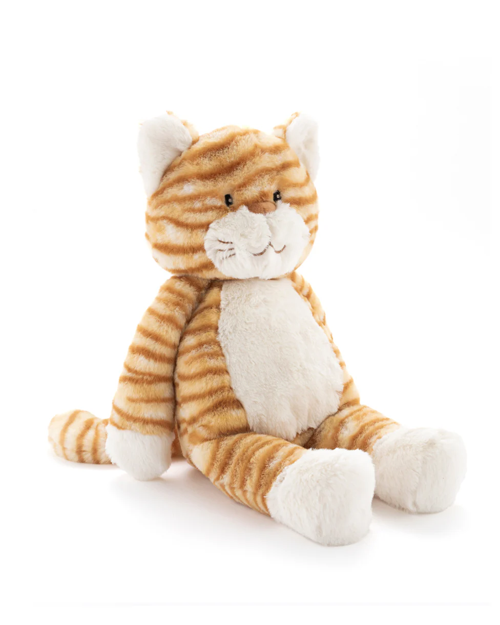Ginger the Cat