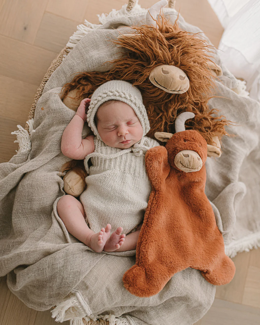 Henry the Highland Cow Cuddly - Image 2