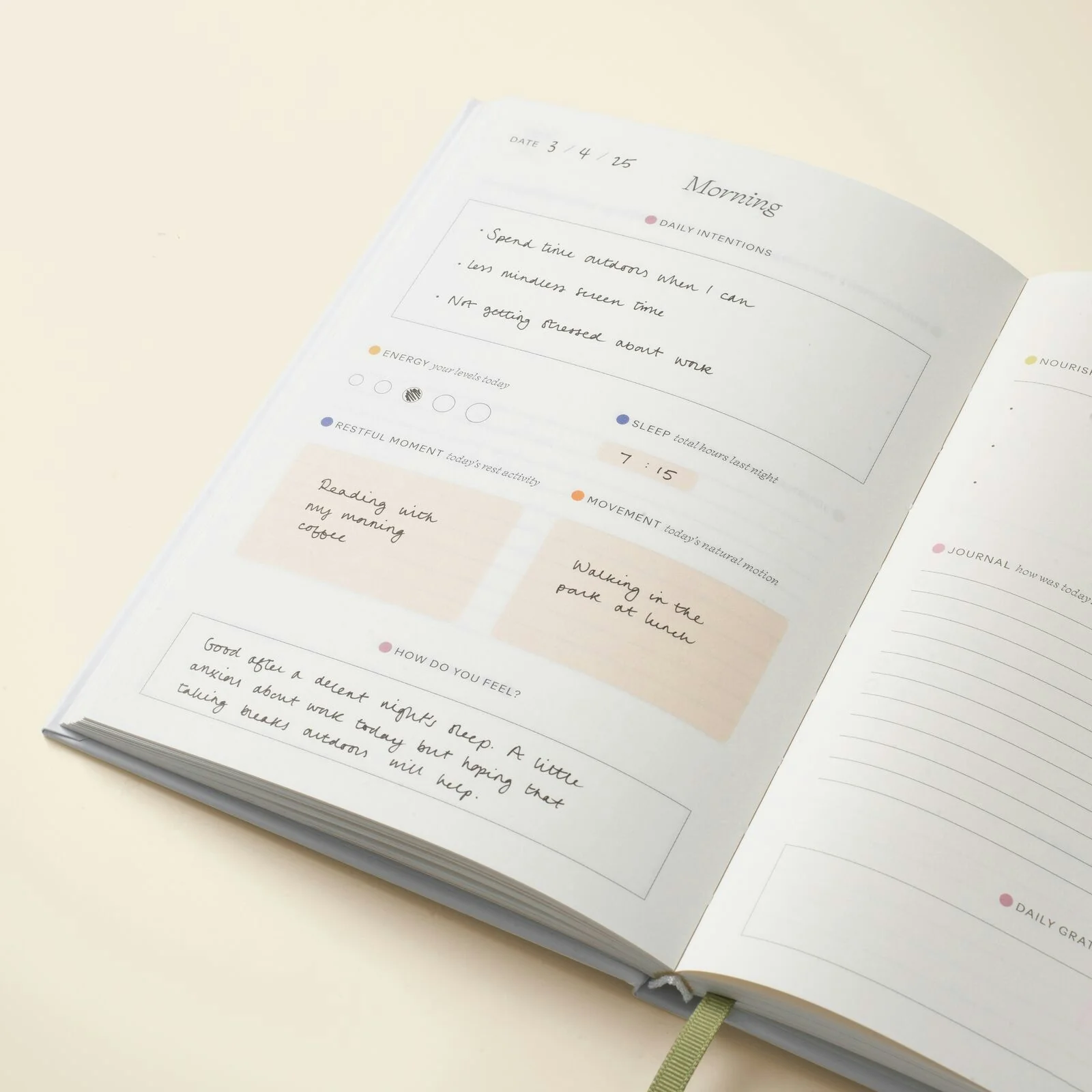 Wellness Journal - Sandstone - Image 2