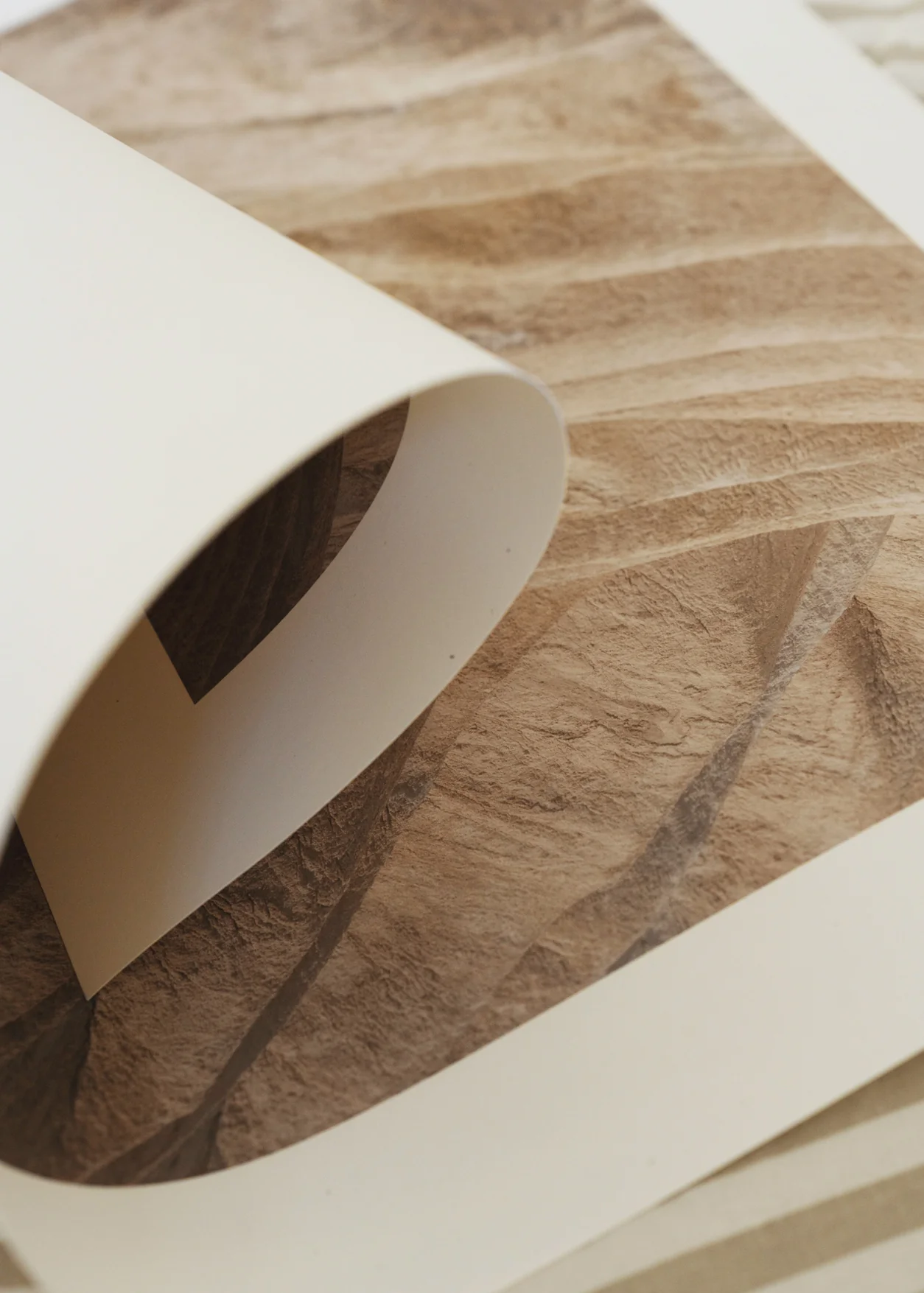 Print - Perpetual - Image 3