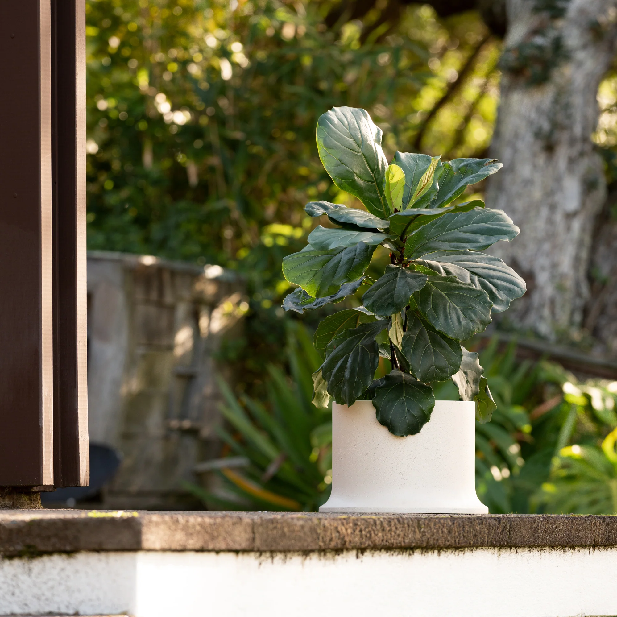 Rise Planters - Image 5