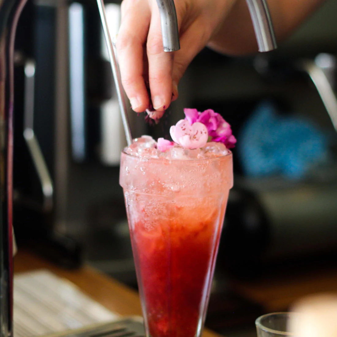 Hibiscus Soda Syrup - Image 2