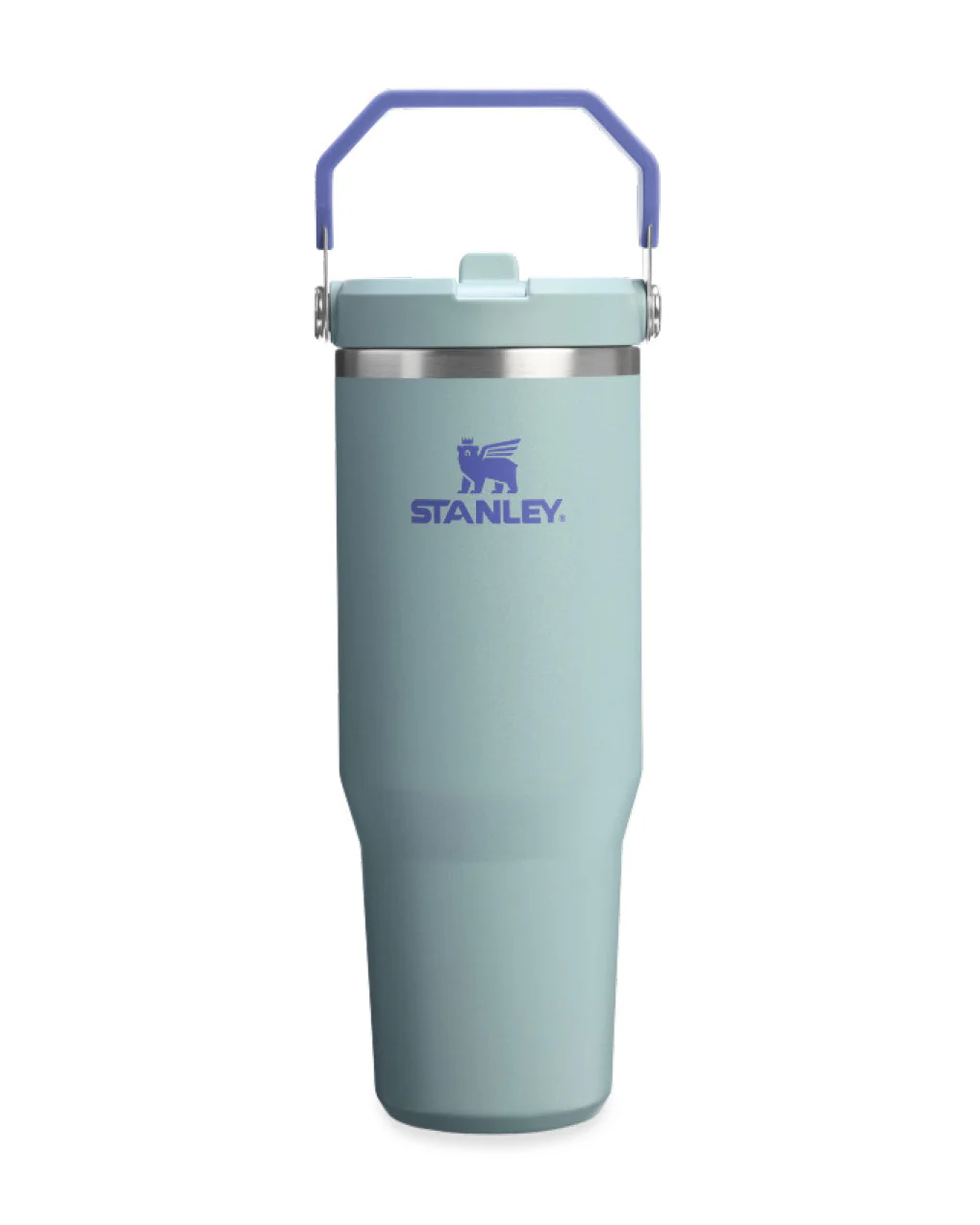 Flip Straw Tumbler - Blue Cactus