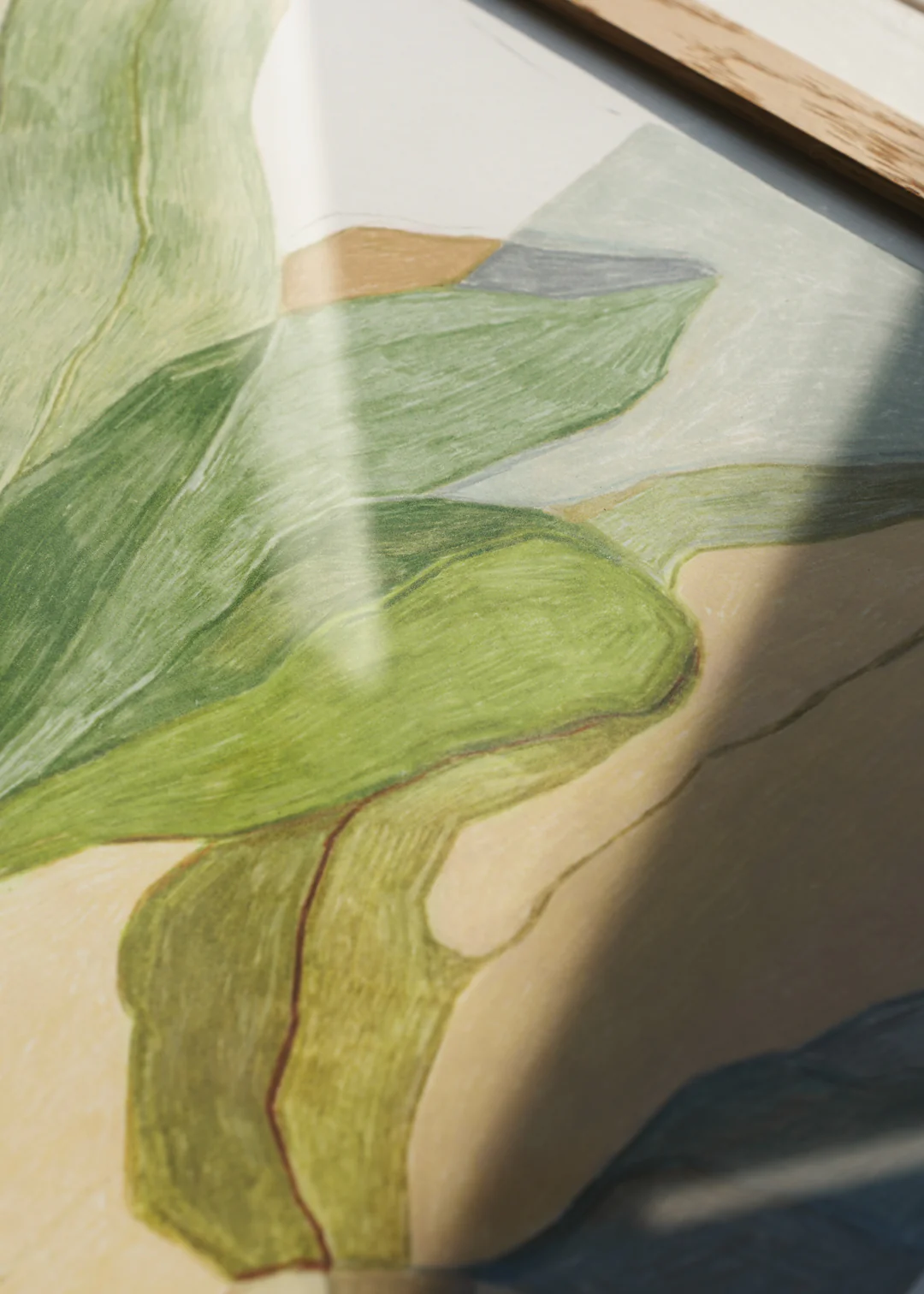 Print - Seaweed - Image 3
