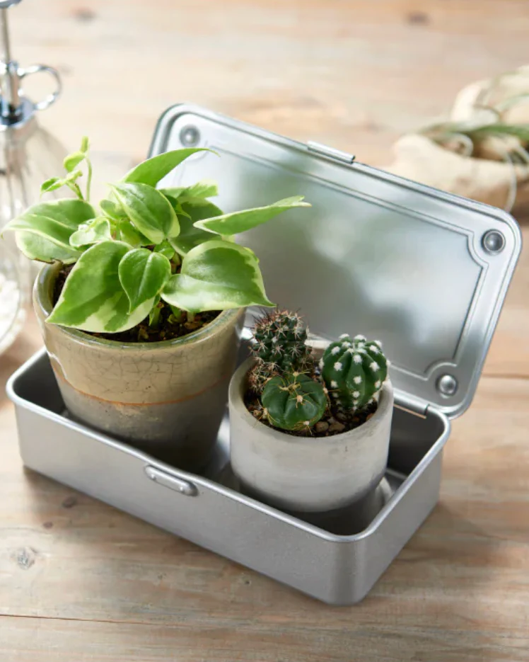 Mini Toolbox - Silver - Image 2