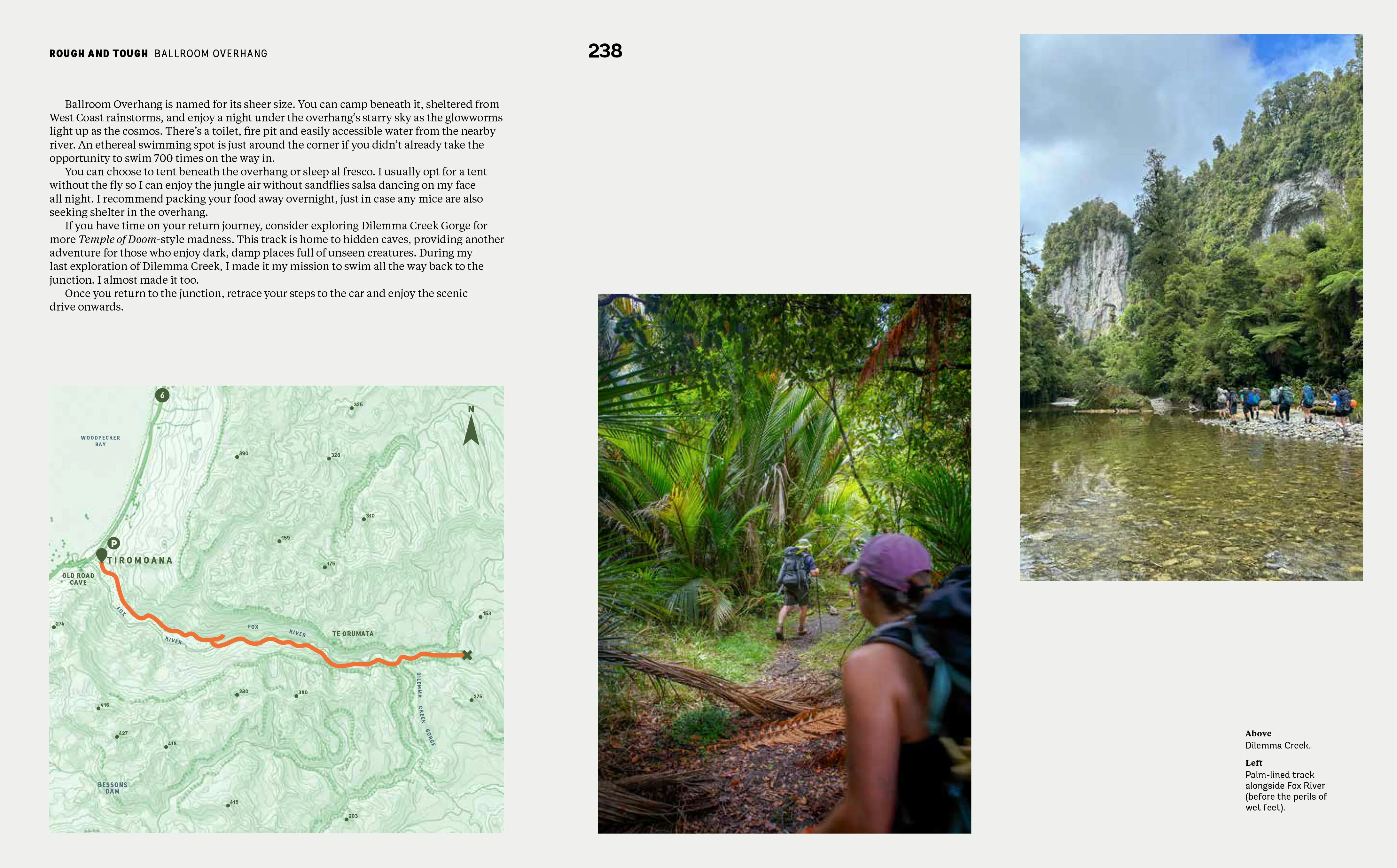 Wild Walks Aotearoa - Image 8